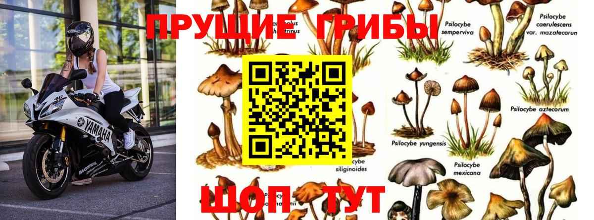 Галлюциногенные грибы мухоморы  Вход с VPN  Псилоцибиновые грибы GOLDEN TEACHER  Изобильный 