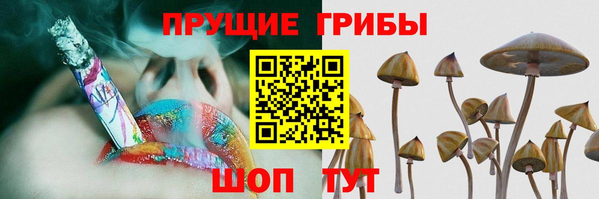 Псилоцибиновые грибы GOLDEN TEACHER Изобильный